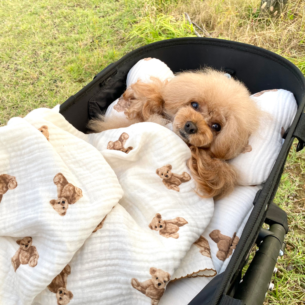 강아지베개 바디필로우 거즈 순면 애견 쿠션 베어