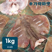 [가락마켓]자연산 반건조 간재미 1kg (4-6미)