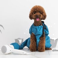 강아지 애견 뽀송뽀송 드라이기 펫 건조 에어룸 수트 애완용품