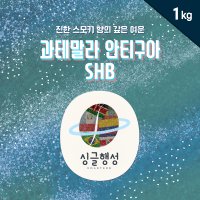 [커피행성] 과테말라 안티구아 SHB 1kg