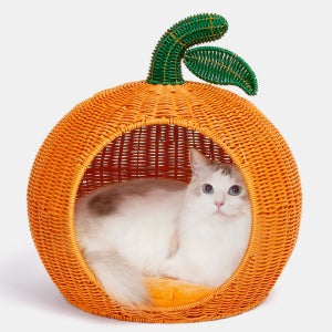 고양이 강아지 숨숨집 바구니 하우스 집 라탄소재