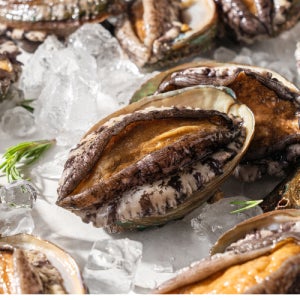 완도전복 대사이즈 11-12미 1kg (마리당 85g 8cm내외)