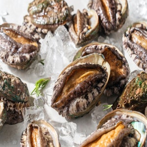 완도전복 18-20미 1kg (마리당 45g 내외)