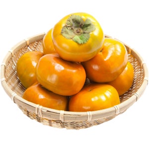 단감 감 부유 진영단감축제 대상 GAP우수농산물 5kg 중과