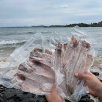 어부가 직접 파는 반건조 백조기 1KG (신선 제주도 자연산 통백조기 5마리 집반찬 조기)