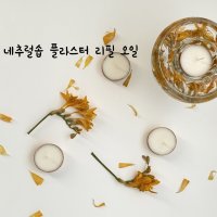 네추럴솝 석고방향제 리필 오일 추가 10ml