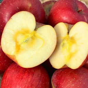 사과 청송 부사 못난이 아삭한 꿀사과 가정용 선물용 5kg 10kg