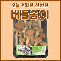 버들송이버섯(참버들) 1kg (100g x 10팩)