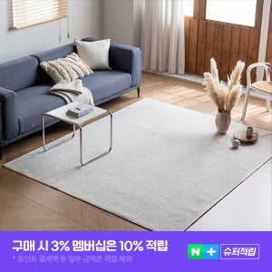거실러그 대형 카페트 단모 워셔블 물세탁 사계절 먼지없는 주문제작가능 그레이 200x300