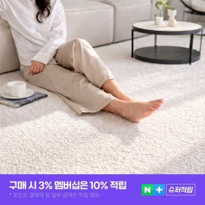 거실러그 대형 카페트 단모 워셔블 물세탁 사계절 항균 식탁 주문제작가능 200x300