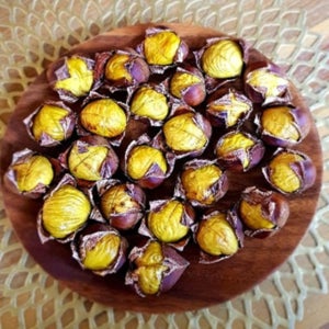 꿀단지농장 충남 부여 군밤용 포르단밤 2kg