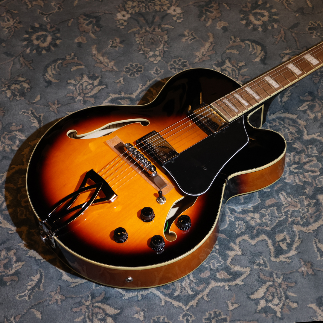 Ibanez 아이바네즈 IBANEZ AF75 풀할로우바디 재즈 일렉기타 아트코어