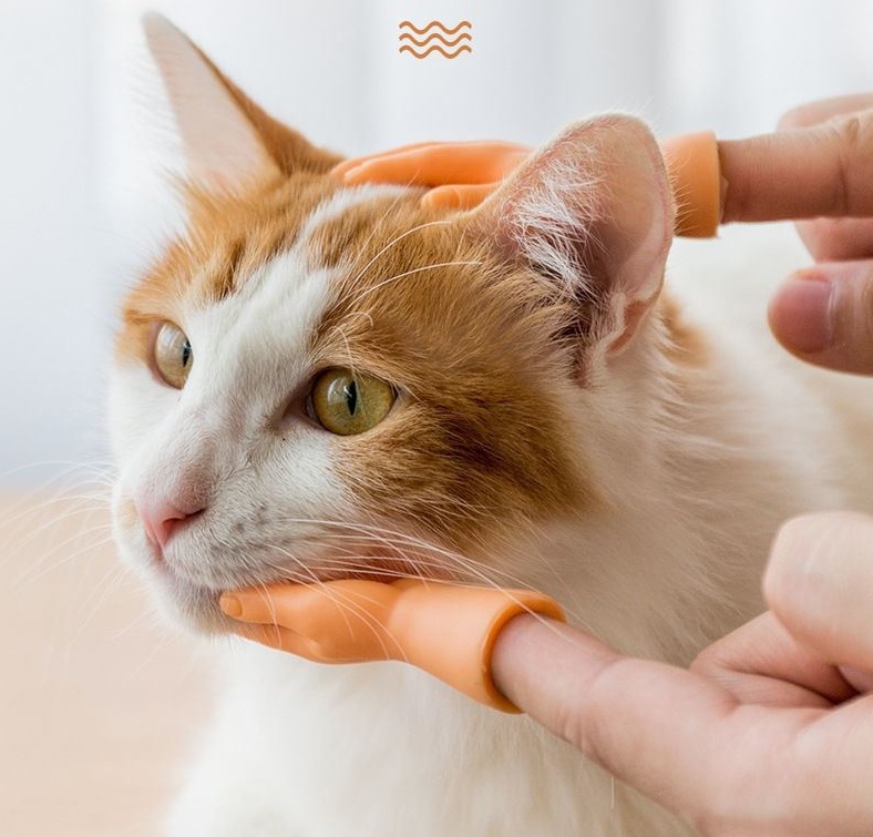 재미있는 고양이 실리콘 손모양 손가락 장난감 쓰다듬기 냥이집사템 집사필수품