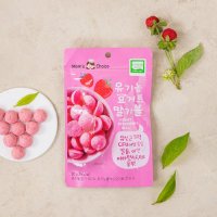 Moms Choice 유기농 요거트 딸기볼 20g