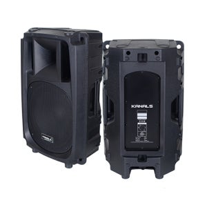 카날스(KANALS) ARS-1550S 전문가용 패시브 스피커 / 15인치 / 500W