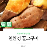 국내산 프리미엄 친환경 무농약 달달 세척 햇 꿀 고구마 2kg 3kg 4kg