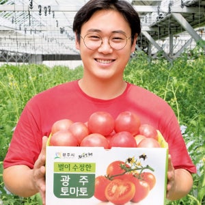 완숙 찰 퇴촌 토마토 2kg 5kg 동양종 주스용 당일수확 산지직송