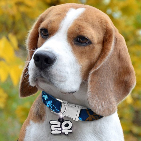 주문제작 반려동물 인식표 강아지 고양이 네임택 이름표 / 이름 광고체 실버(소형)