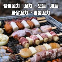 [장땡] 염통 은행 소떡 닭똥집 닭꼬치 닭목살 치즈베이컨 새우 파닭 꼬치 캠핑음식