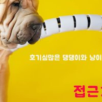 고양이 전선 보호 강아지 전기줄 정리 선고정 댕댕이 냥이 전선 정리 튜브 케이블 홀더