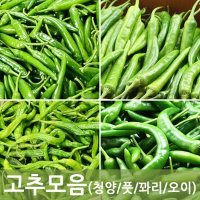 소포장 고추모음(청양/오이맛/꽈리/풋고추)