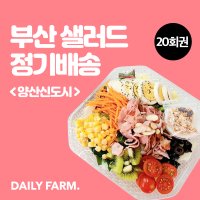 (데일리팜)부산,양산 샐러드 정기배송 20회권