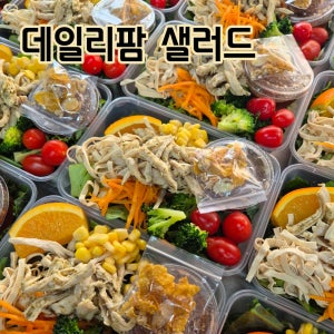 (데일리팜)부산,양산,김해 샐러드 정기배송 20회권