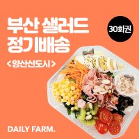 (데일리팜)부산,양산 샐러드 정기배송 30회권