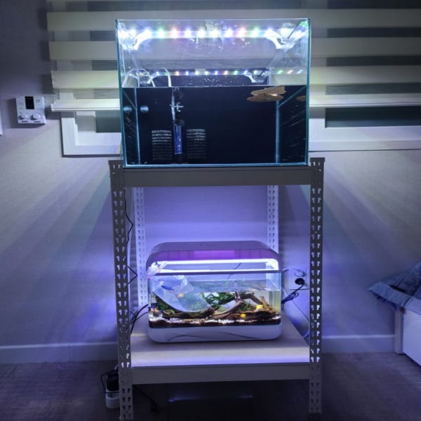튼튼한 축양장 2자 광폭 45큐브 수조 어항 선반 받침대 다이 사육장 400X300X900