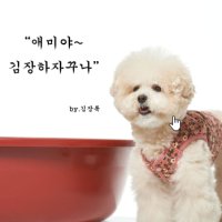 마루네 강아지 고양이 꽃무늬 김장룩 조끼 핑크 깔깔이 따듯한 시골 누빔 하네스 겸용 옷