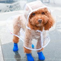 강아지 우비 우산 케이프 웰시코기 만들기 대형견 테디 셰퍼드 중형 견우피 풀백 코키 방