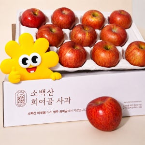 [파밍파밍]소백산 희여골 햇부사 고당도 홍로 사과 2kg, 2.5kg 경북 영주 26년산 햇사과
