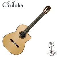 CORDOBA Fusion 12 Maple 코르도바 클래식기타