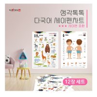 생각톡톡 벽보차트 전12종