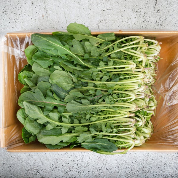 채소팜 루꼴라 1kg 로케트