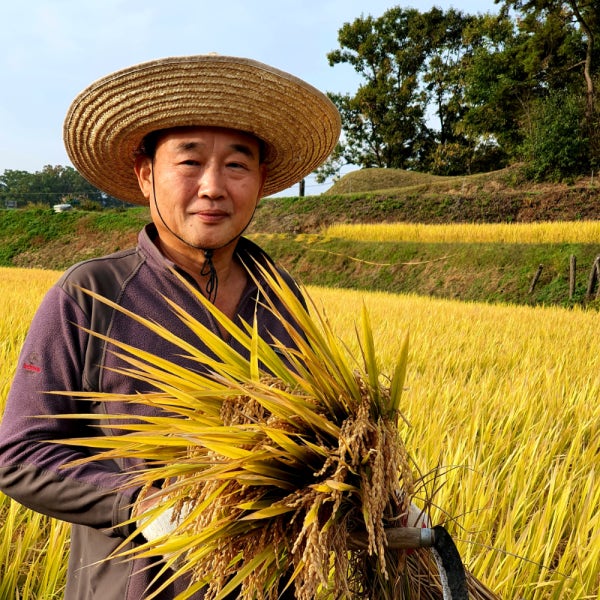 2025년 우렁이농법 무농약 백진주 햅쌀 1kg 3kg 5kg 10kg 20kg 백미 현미