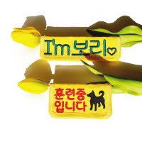 커스텀 강아지 산책 리드줄 끼움 LED 명찰 자수 네임택 (옐로 블랙)