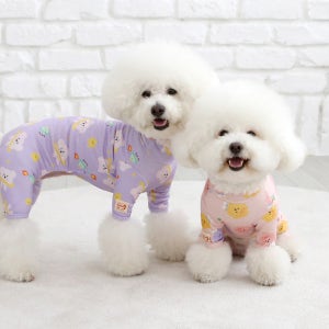 이츠독 웜업 히트 올인원 3COLOR S-3XL 강아지브랜드옷 겨울 실내복