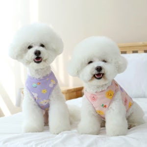 이츠독 소프트 베베 털 수면조끼 3COLOR S-3XL 강아지브랜드옷 겨울 실내복