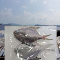 반건조병어 2마리 380g 목포