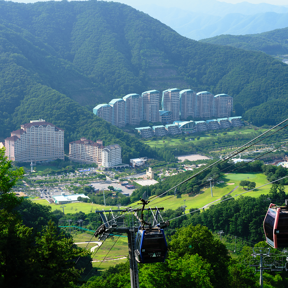 소노벨 비발디파크 객실패키지(액티비티 조식 인피니티풀) 소노호텔앤리조트 [홍천] 오션월드