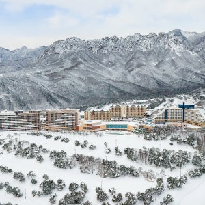 [강원 고성] 소노캄 델피노 패키지 조식 오션플레이 소노호텔앤리조트 소노문 델피노 룸온리