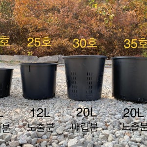 지중매립분 20호 30호 노출분 25호 35호 통기성 좋은 대형화분 10개