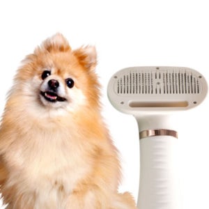 댕댕살롱 페페 드라이어 애견 대형견 고양이 펫 드라이기 드라이룸