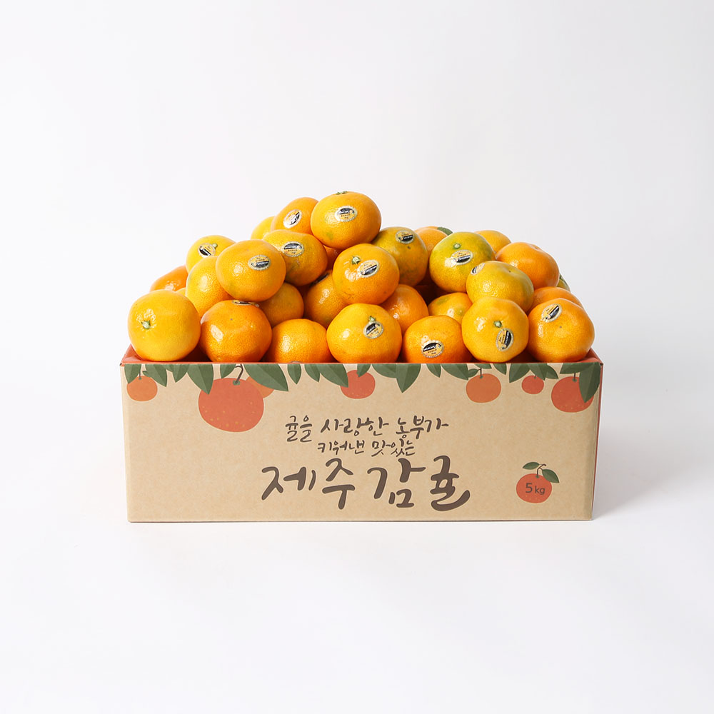 주차-061 이미지