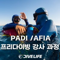 [다이브라이프] AFIA 프리다이버 강사 과정 / PADI 프리다이버 강사 과정 서울 프리다이빙 강습 / 교육