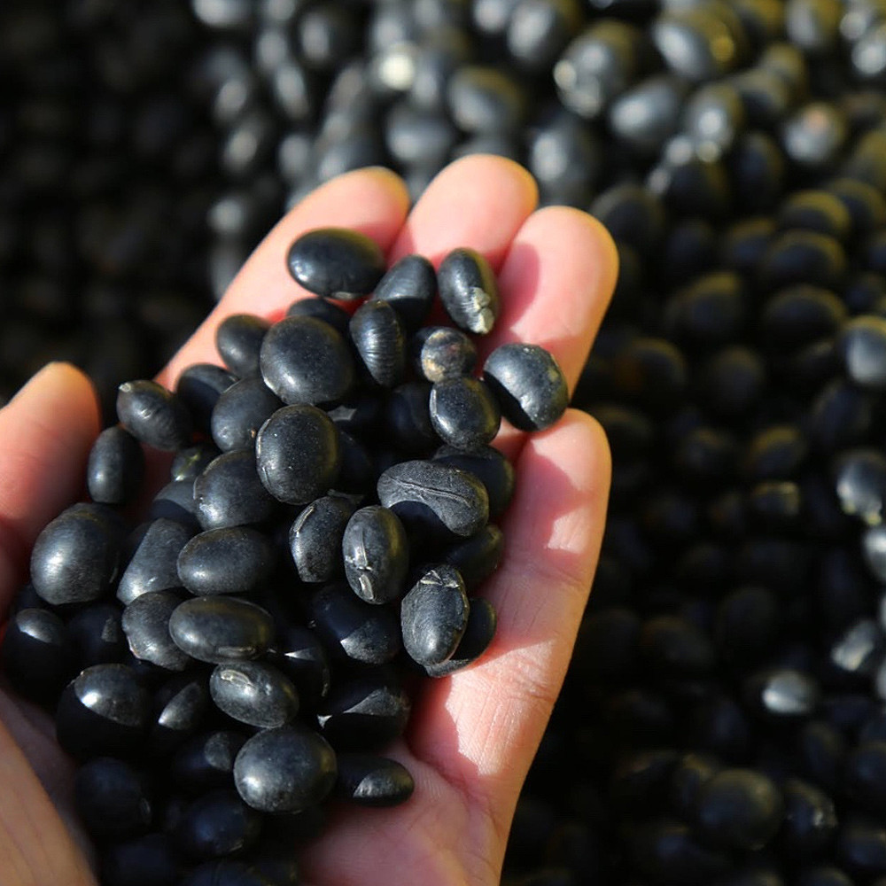 2025년 국산 햇 <b>서리태</b> 검정콩 1kg