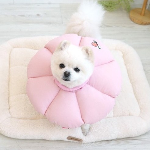 패리스독 강아지 고양이 넥카라 꿀잠 핑크 S