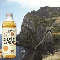 제주 우도땅콩 새싹차 340ml x 20개 용암해수 고소한맛