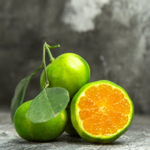 돌망돌망 제주 제철 청귤 풋귤 5kg 10kg 산지직송